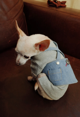 Patuu Light Denim Skirt image 4