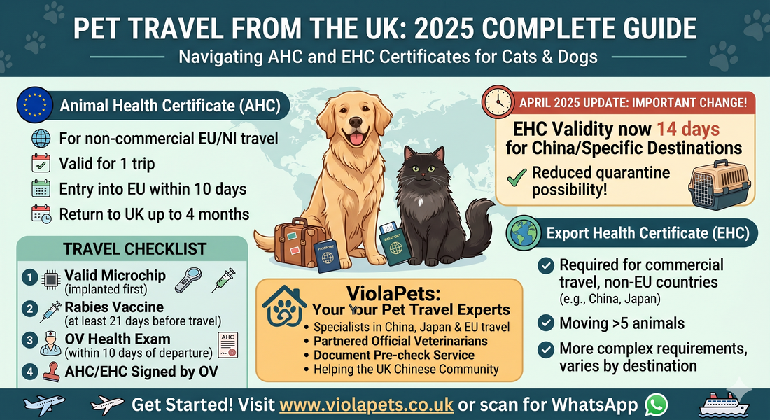 Pet Travel from the UK in 2025: Your Complete Guide to EHC and AHC Certificates
