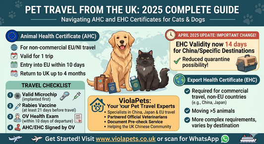Pet Travel from the UK in 2025: Your Complete Guide to EHC and AHC Certificates