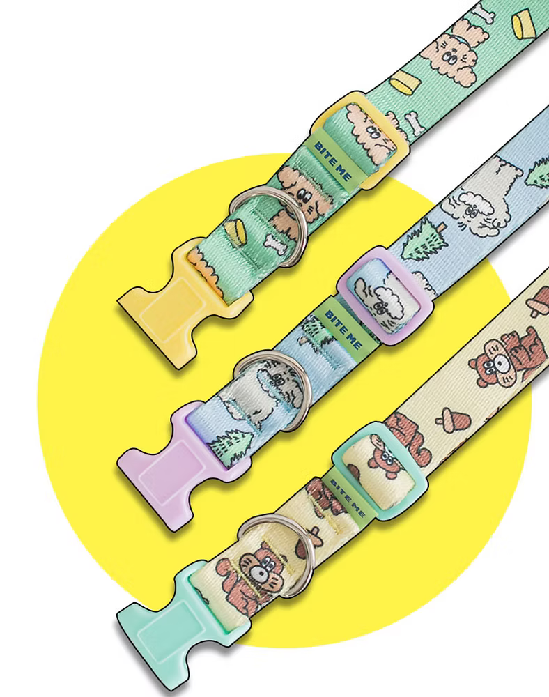 Leashes & Accessories