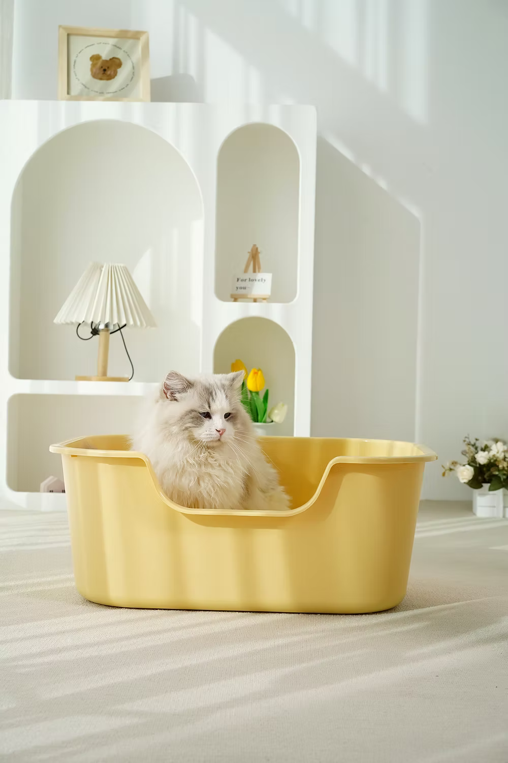 Cat Litter Boxes