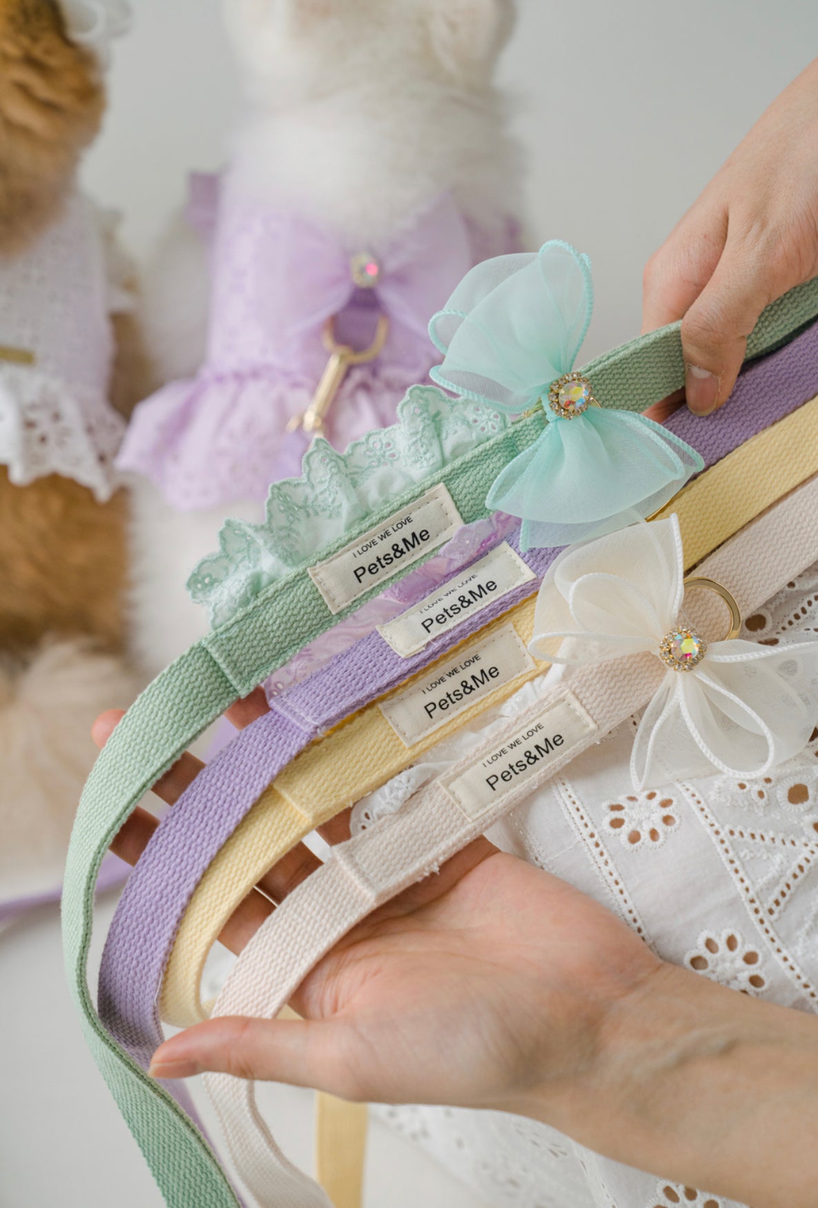 Pets&Me Lace Suit-New Arrivals[韩国Pets&Me新款蕾丝套装/胸背+牵引绳+胸花(多色可选)] image 5