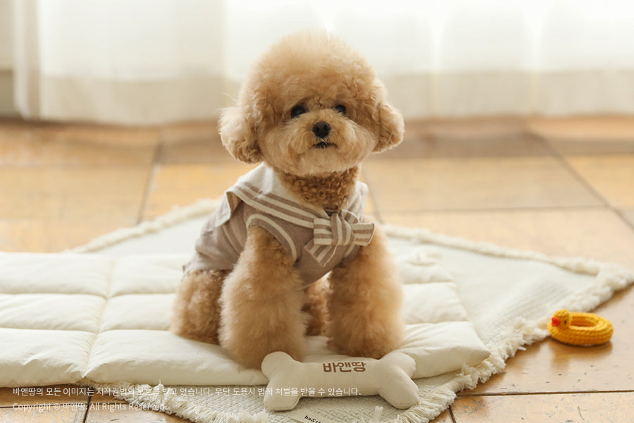 Ba&ttang-Marine Sailor Knit Pullover:mocha[Ba&ttang-水手服小毛衣:摩卡色] image 5