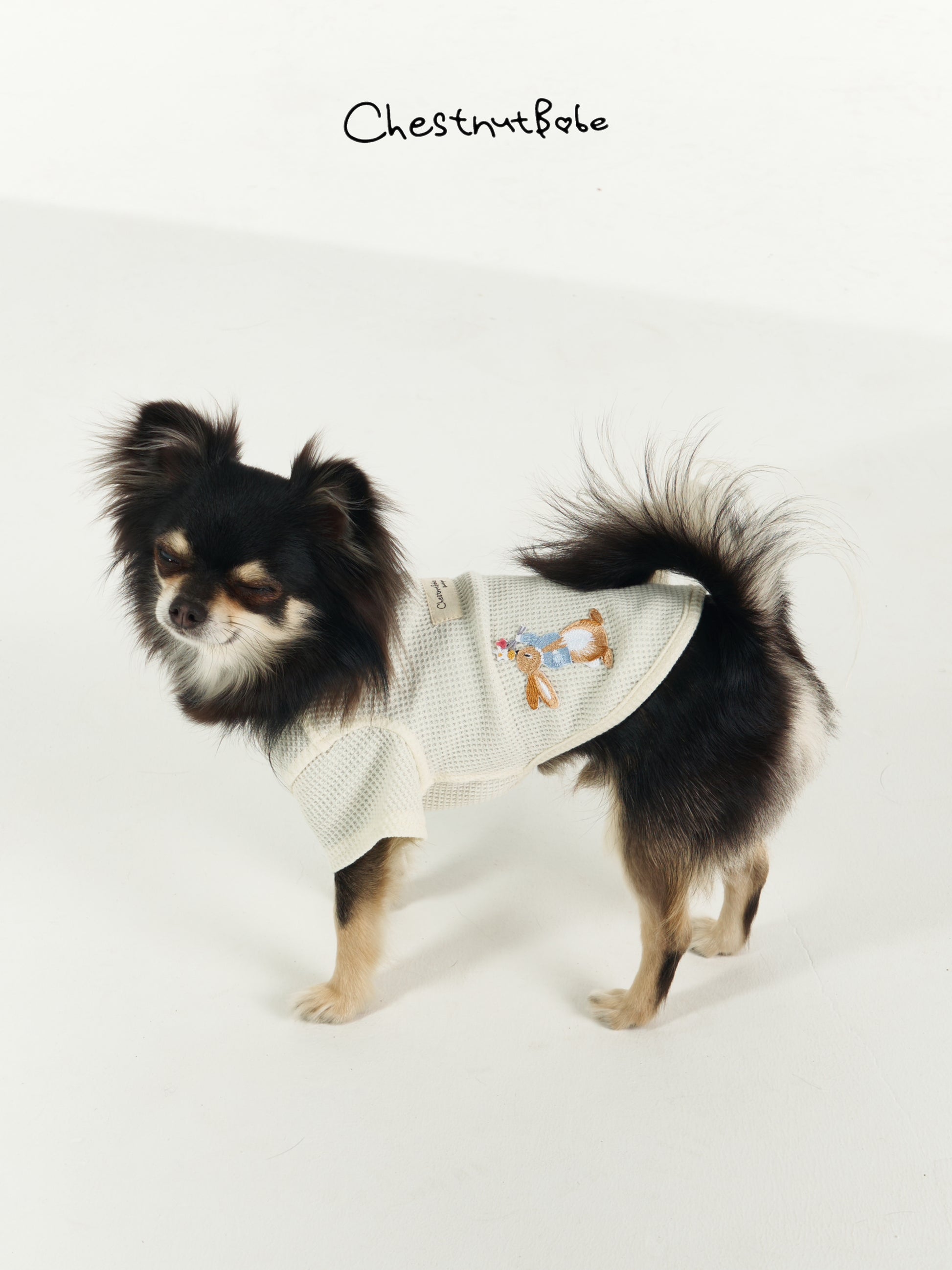 Chestnutbabe-Peter Rabbit sweater[Chestnutbabe-彼得兔衣服] image 3