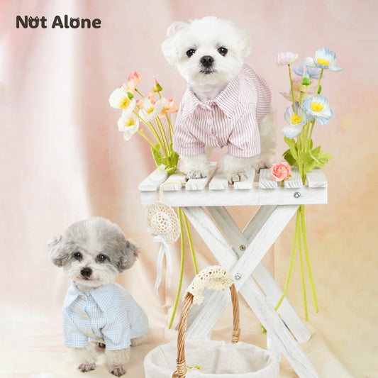 NotAlone-Striped Pet Shirt[不孤岛-下午茶条纹衬衫] image 0