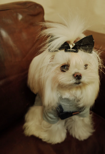 Patuu Dark Denim Skirt image 5