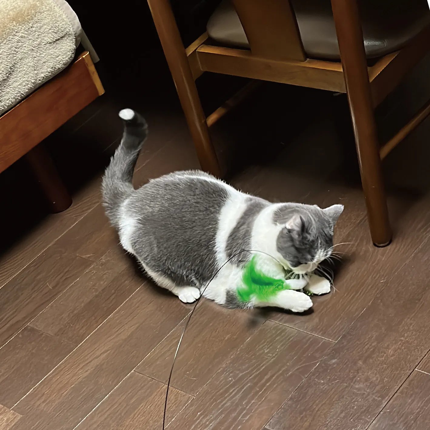 Cattyman PLAYFUL SUCTION CUP DANGLER CAT TOY[Cattyman吸盘小鸟玩具] image 3