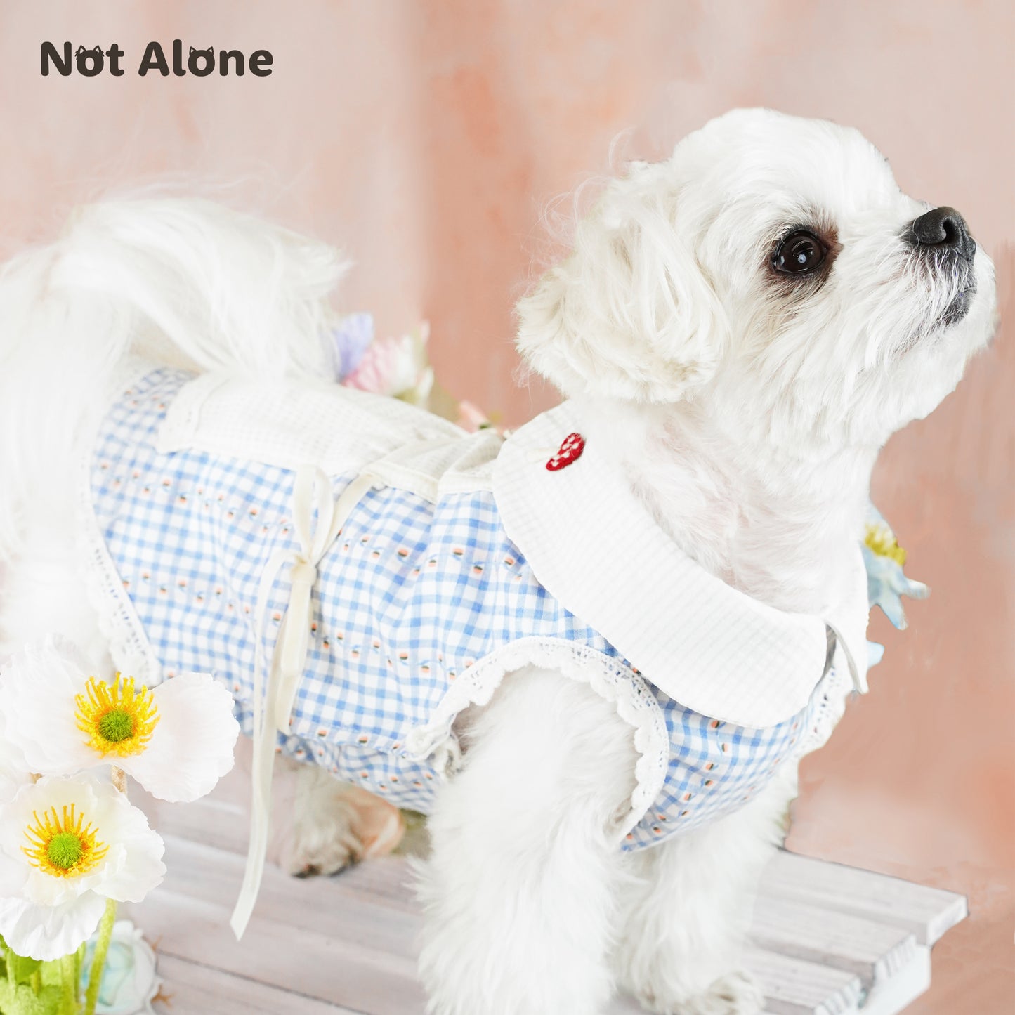 NotAlone-Afternoon Tea Bunny Dress [不孤岛-花花兔兔茶歇裙] image 8