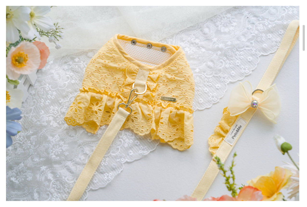 Pets&Me Lace Suit-New Arrivals[韩国Pets&Me新款蕾丝套装/胸背+牵引绳+胸花(多色可选)] image 9