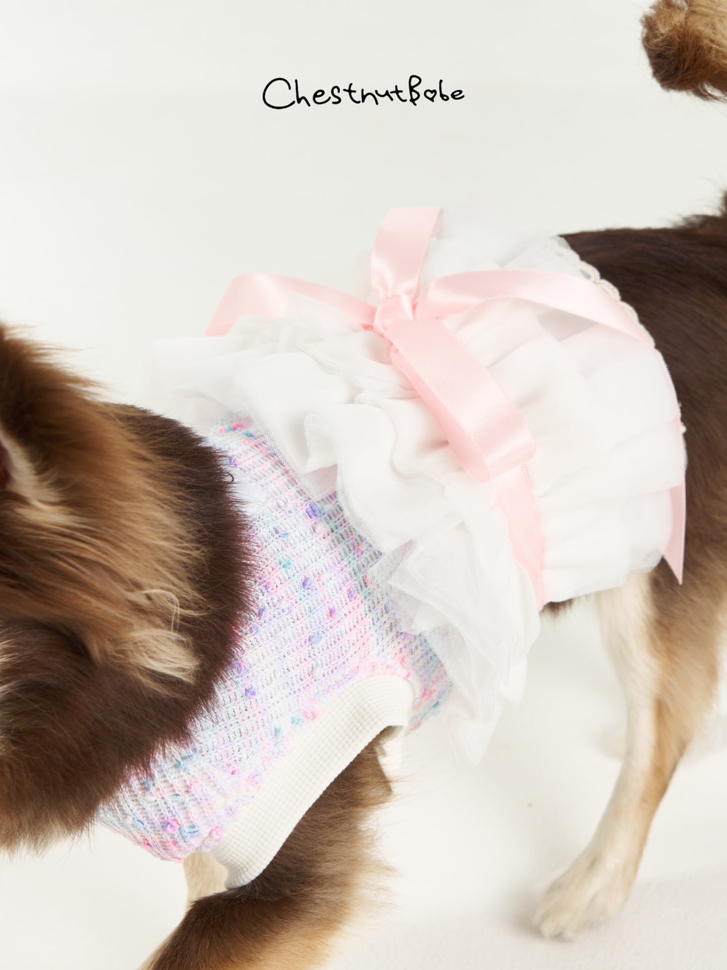 Chestnutbabe=Ballet Dress[Chestnutbabe-芭蕾舞裙] image 5