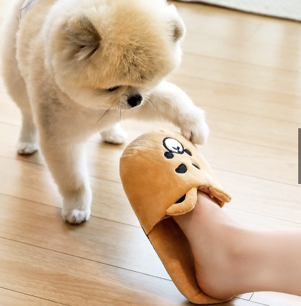 Laughing Charlie Slippers Toy[韩国LaughingCharlie拖鞋玩具] image 1