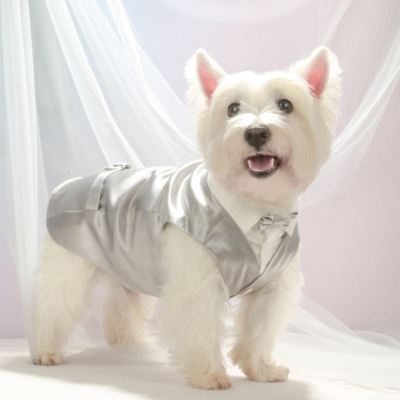 Dotty Lab Satin Suit Vest image 3