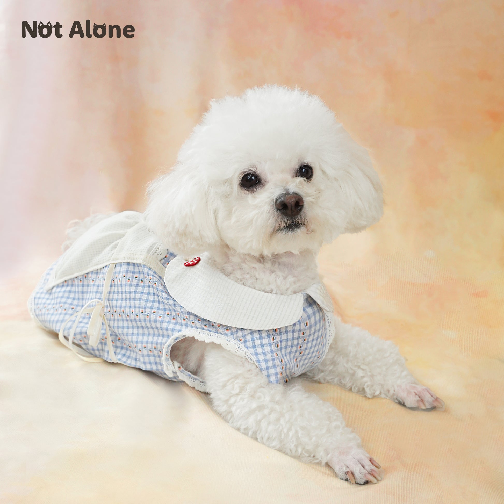 NotAlone-Afternoon Tea Bunny Dress [不孤岛-花花兔兔茶歇裙] image 10