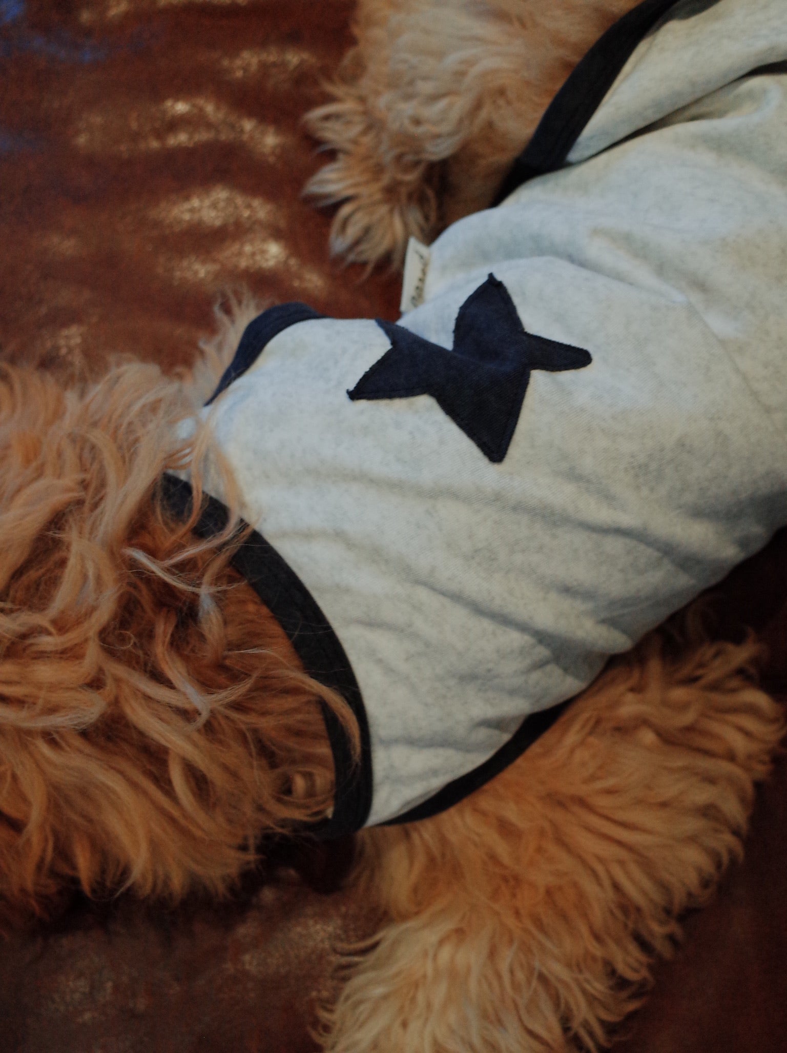 Patuu Star Tank Top[Patuu 宠物星星背心-2款可选] image 6