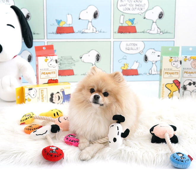 Snoopy Push-Pull Toy[韩国Snoopy联名咬咬玩具] image 2