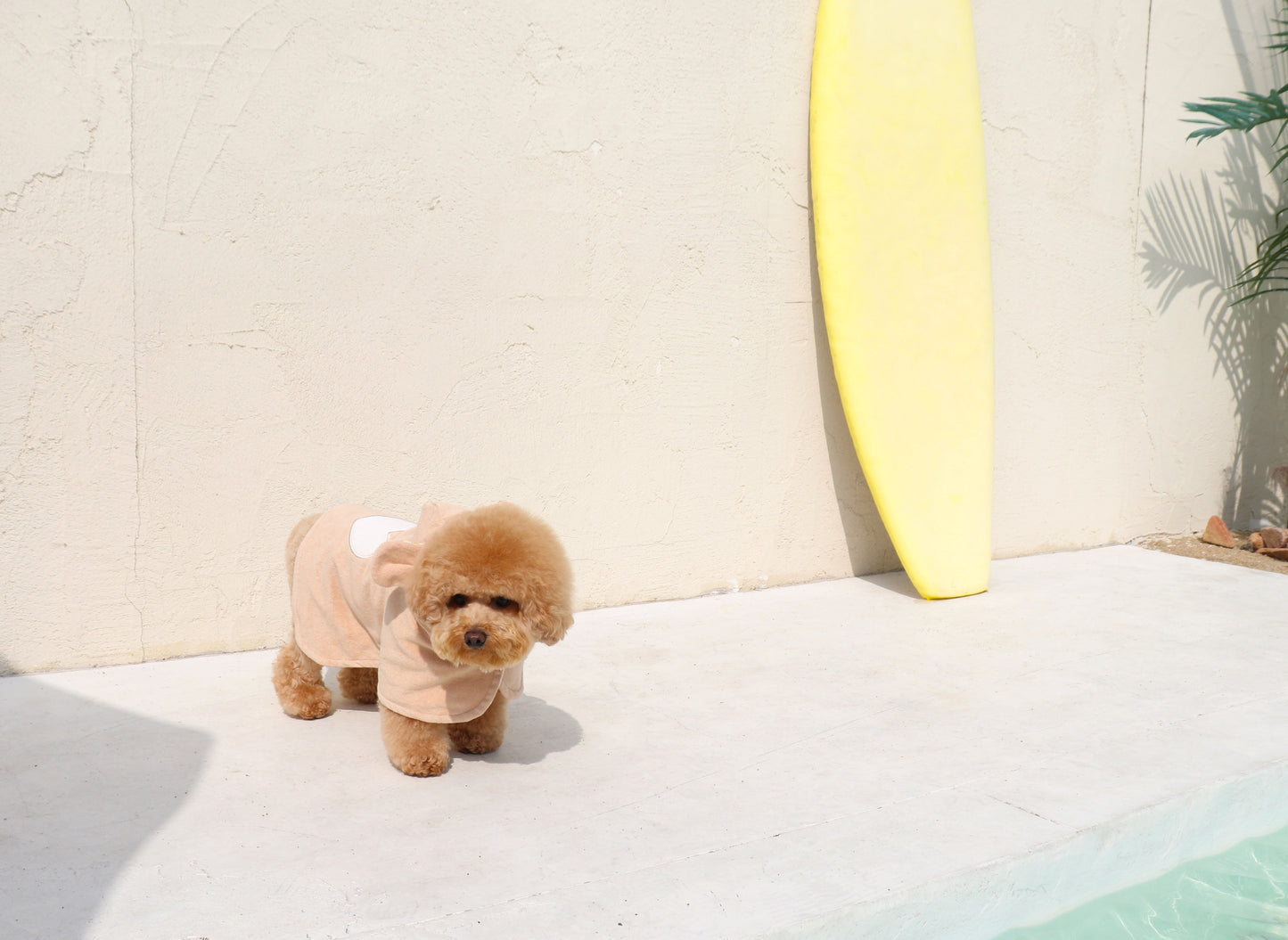 Durang Rurang Bear Hoody[韩国Durang Rurang心形小熊套头帽衫] image 5