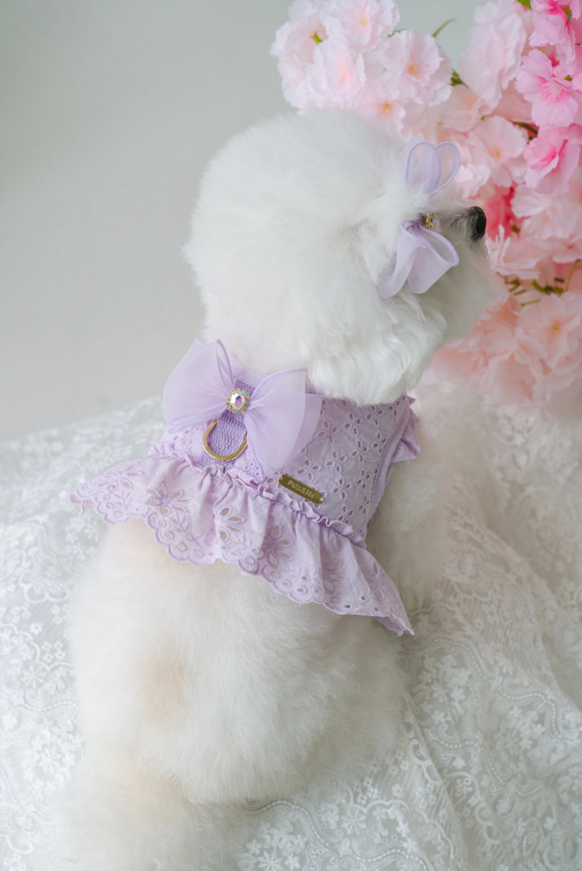 Pets&Me Lace Suit-New Arrivals[韩国Pets&Me新款蕾丝套装/胸背+牵引绳+胸花(多色可选)] image 11