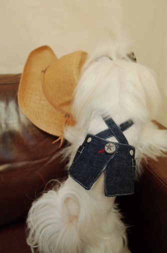 Patuu Dark Denim Skirt image 3