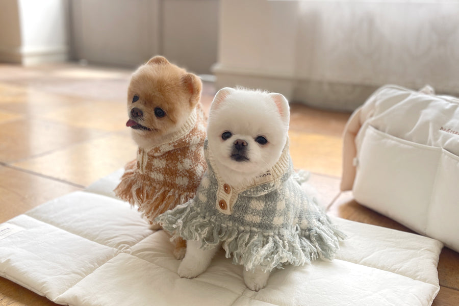 Ba&ttang-Check Poncho Knit Coat:mint[Ba&ttang-棋盘格小披风:薄荷绿] image 0