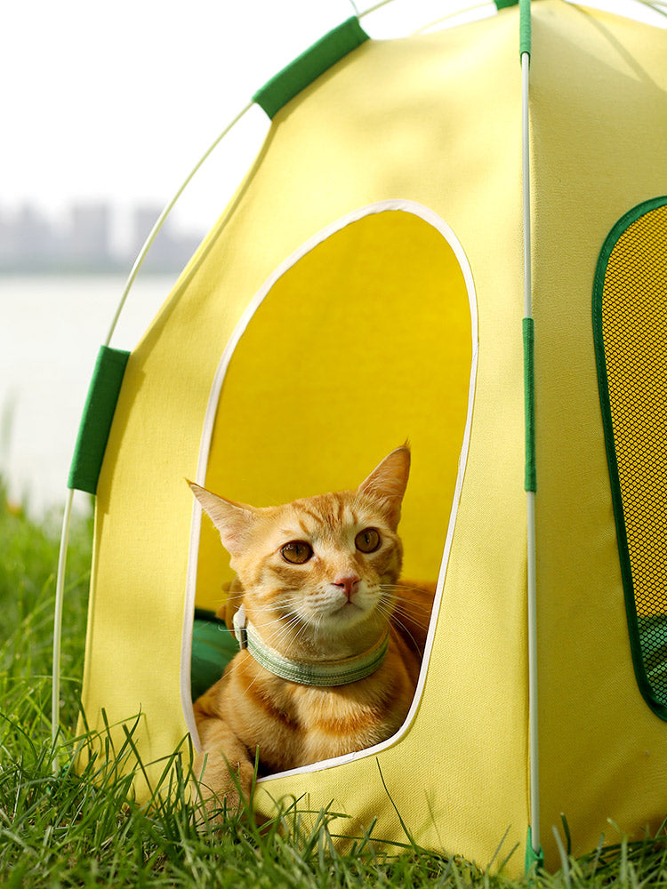 Pet Pineapple Big Tent-75x65cm[菠萝宠物大帐篷-75x65cm] image 11