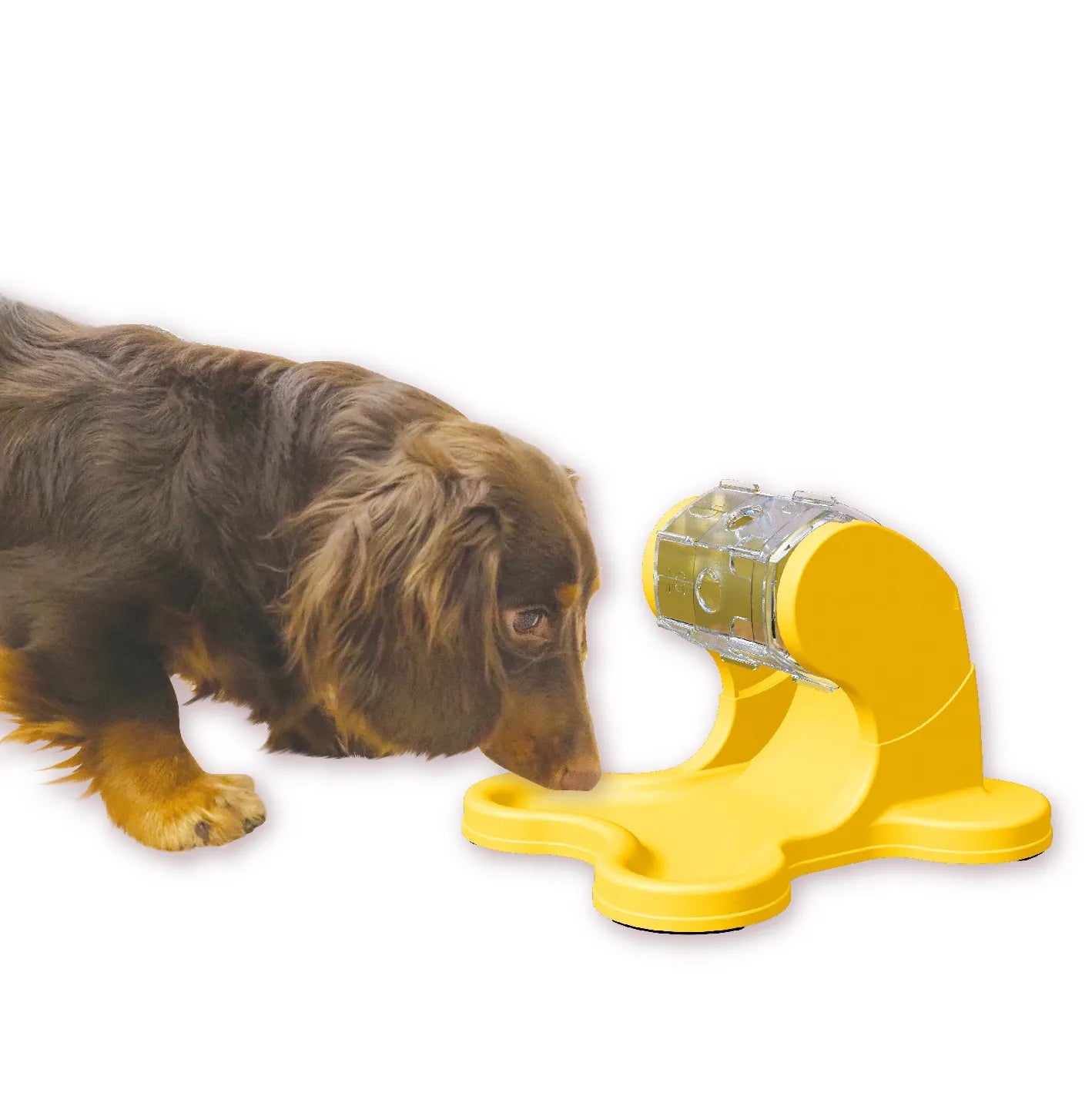 Doggyman-Dog Fortune Wheel For Interactive Feeding Game[Doggyman-狗狗互动喂食器] image 4