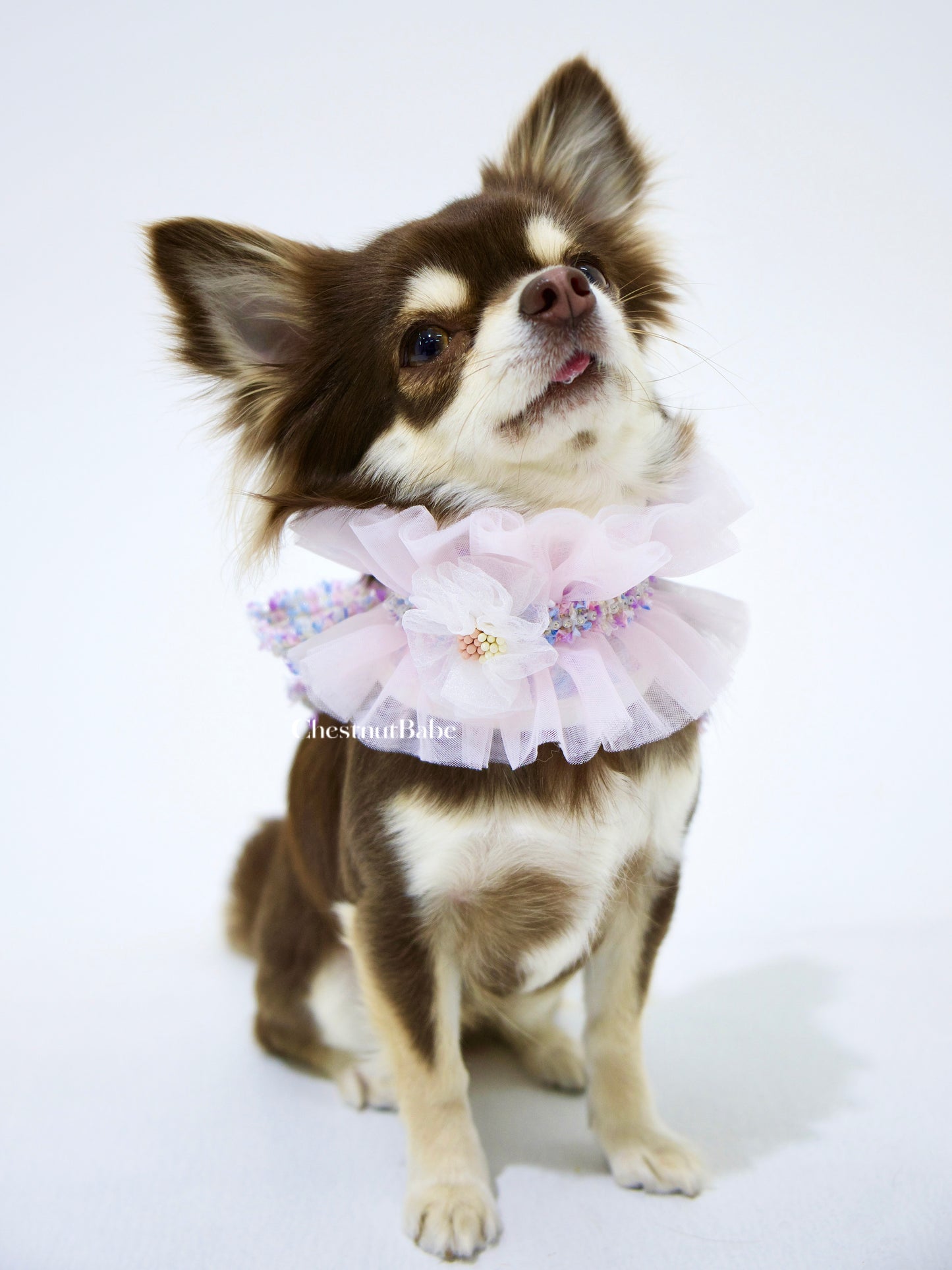 Chestnutbabe-TUTU Chocker[Chestnutbabe-TUTU围脖] image 2