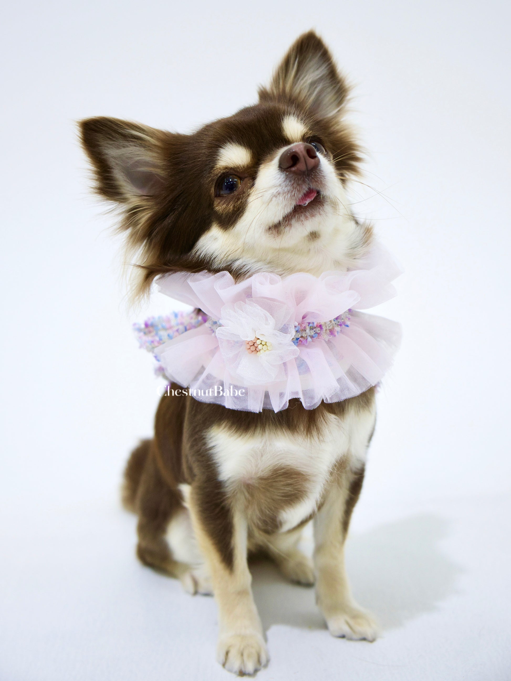 Chestnutbabe-TUTU Chocker[Chestnutbabe-TUTU围脖] image 2