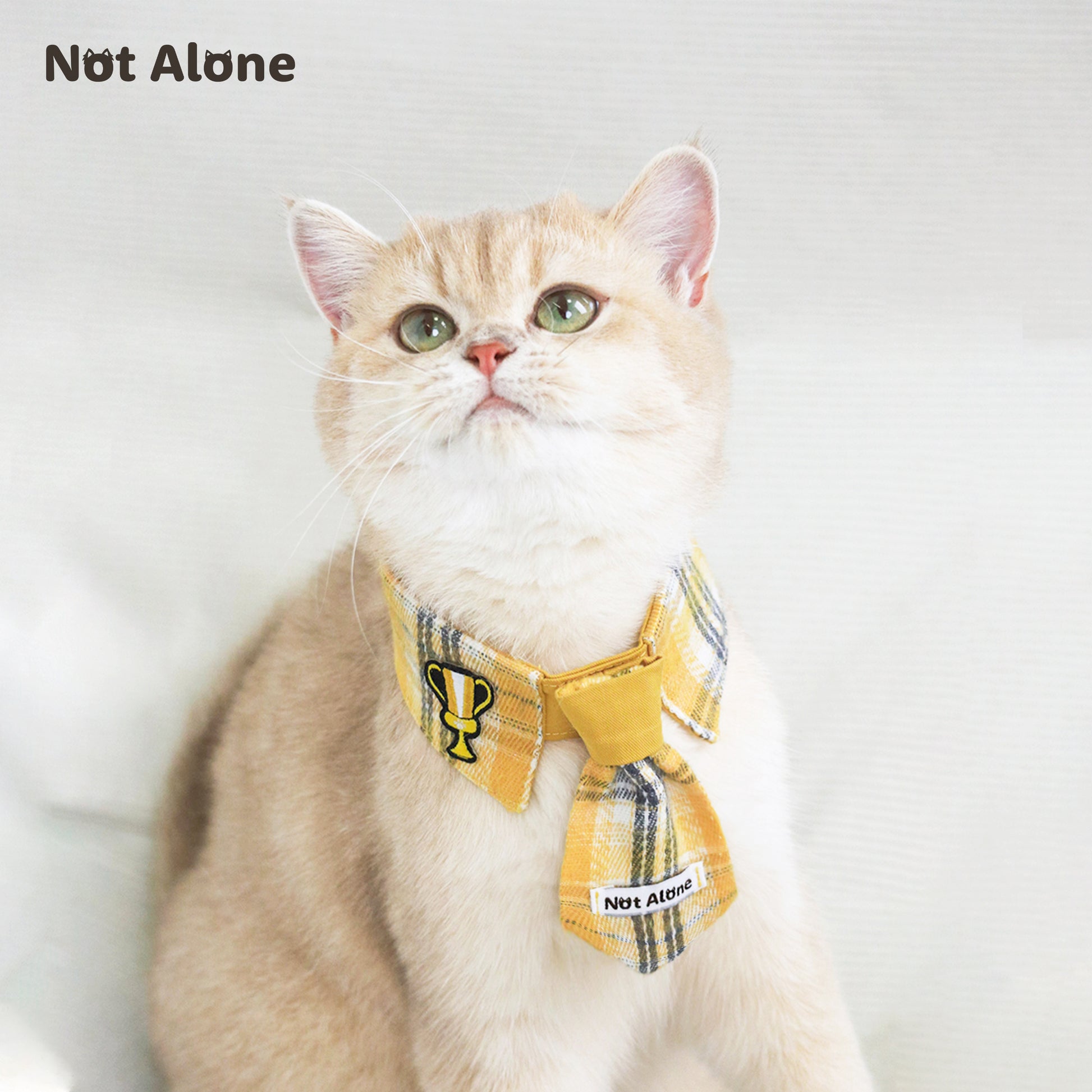 NotAlone-Magic House Pet Bib[不孤岛-魔法学院系列哈利波特风宠物格纹领带] image 2