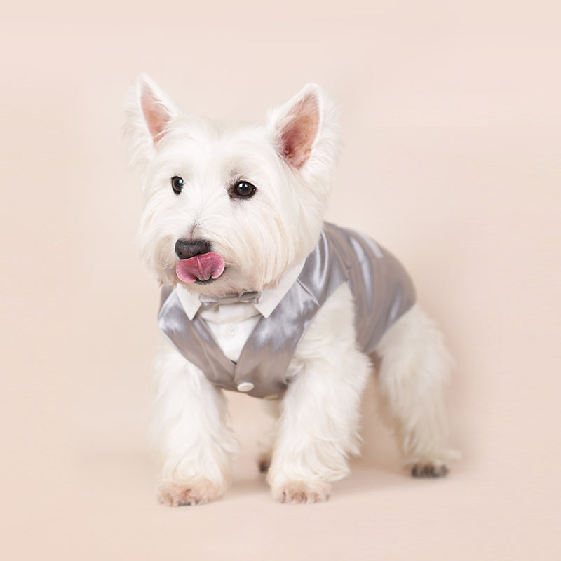 Dotty Lab Satin Suit Vest image 4