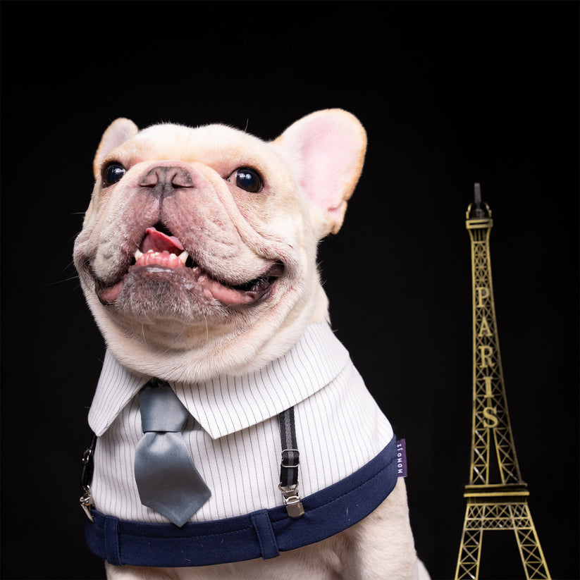 Momoji George | Pet Bib image 1