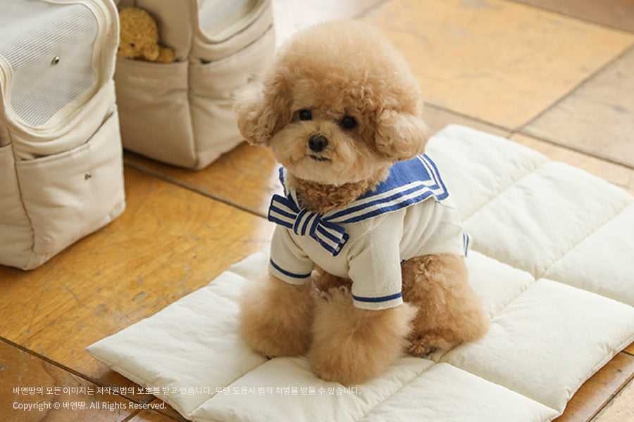 Ba&ttang-Marine Sailor Knit Pullover: ivory/blue[Ba&ttang-水手服小毛衣:蓝色] image 9