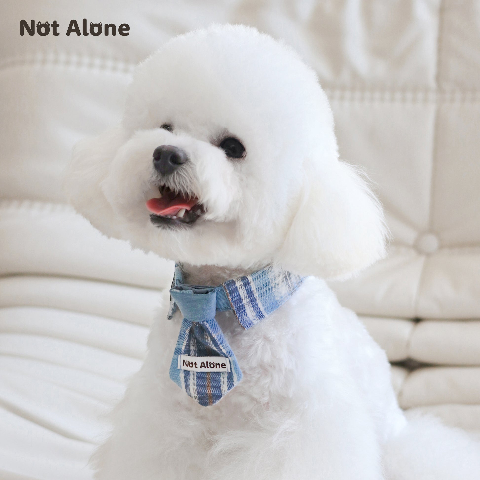 NotAlone-Magic House Pet Bib[不孤岛-魔法学院系列哈利波特风宠物格纹领带] image 3