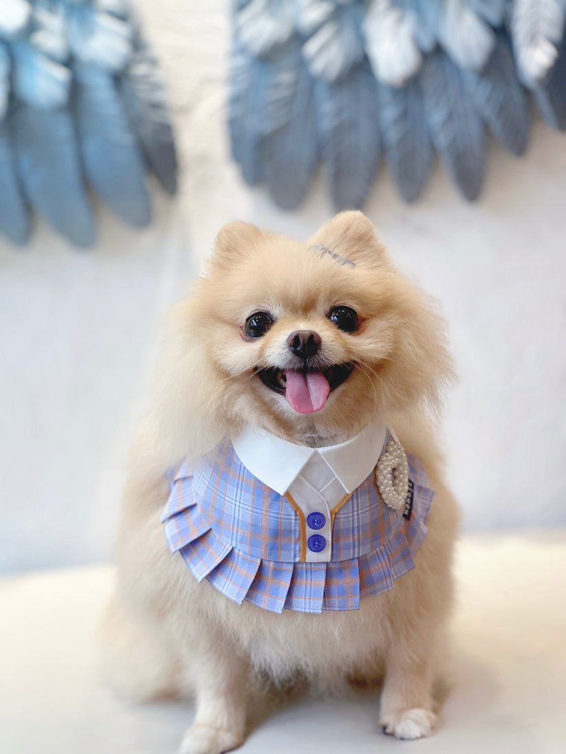 Momoji Pets Bib Little Girl image 3