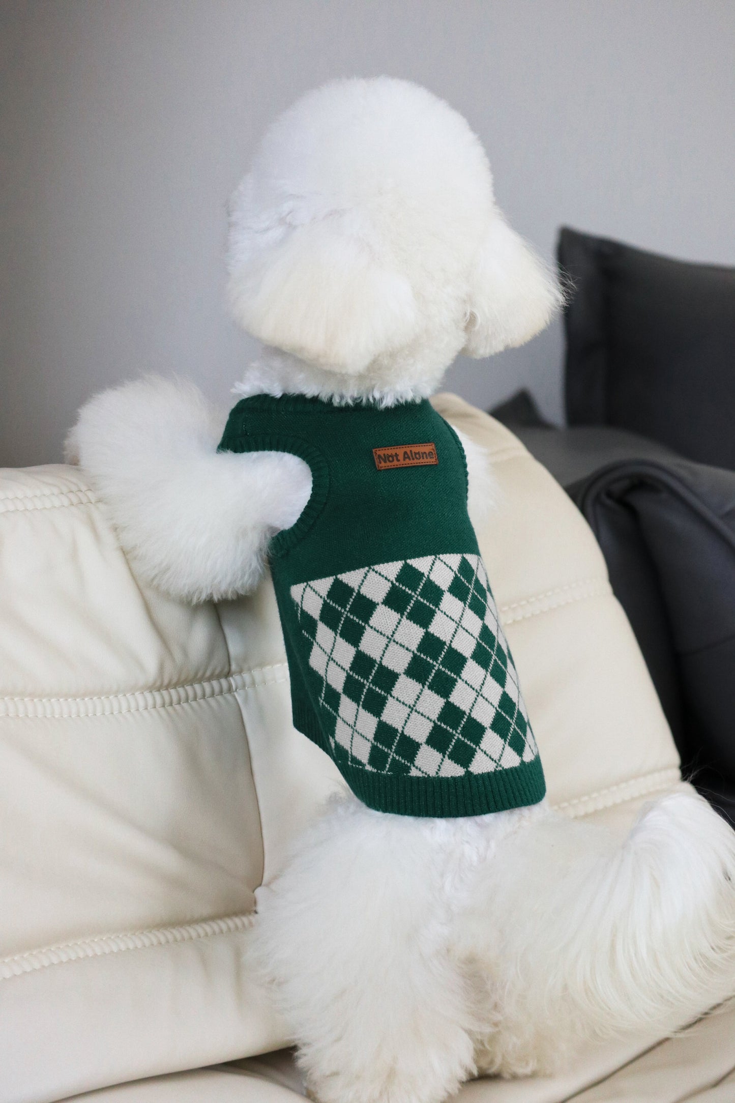 NotAlone-Magic House Pet Sweater Set[不孤岛-魔法学院格纹毛衣套装] image 2