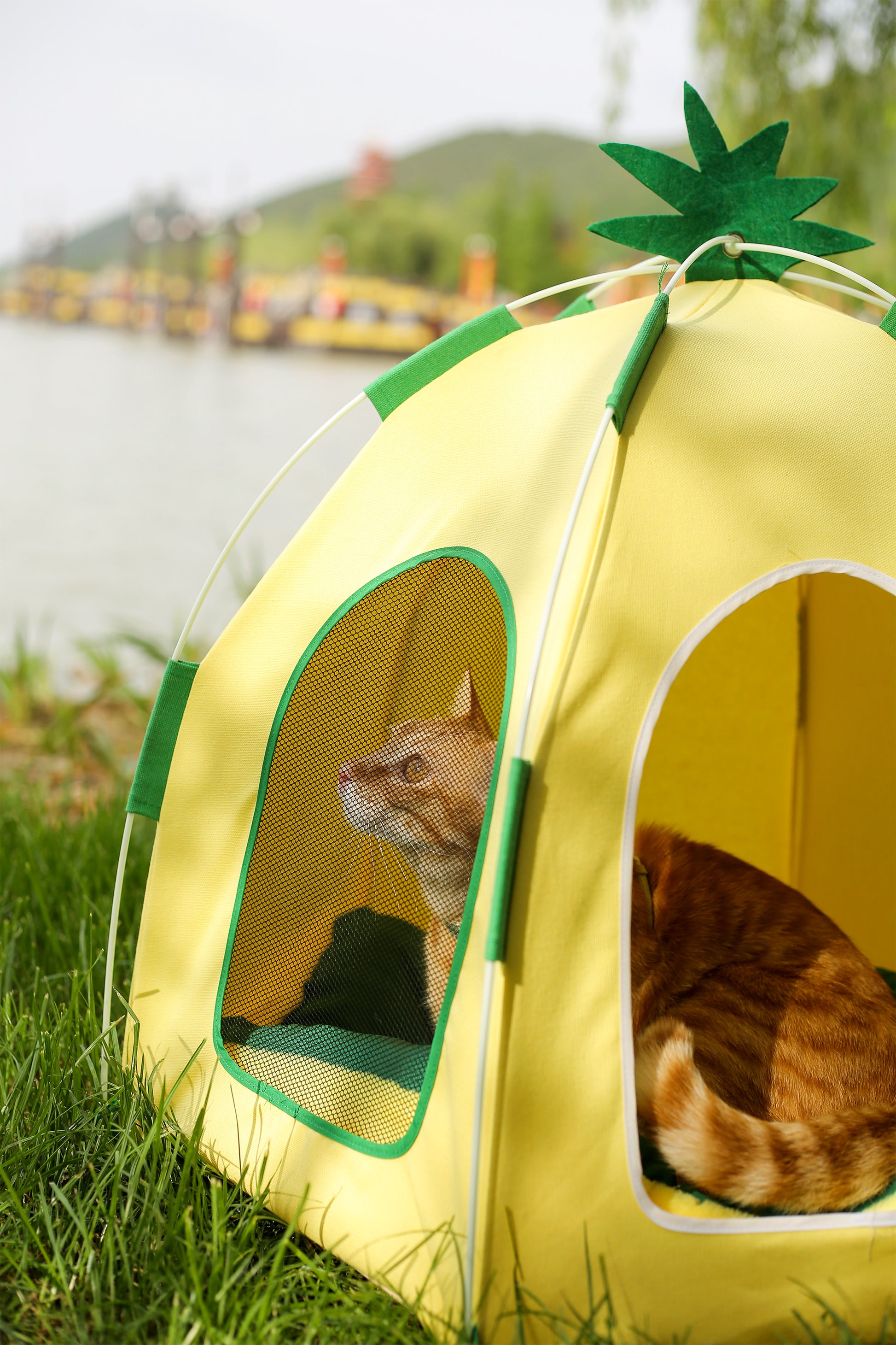 Pet Pineapple Big Tent-75x65cm[菠萝宠物大帐篷-75x65cm] image 5