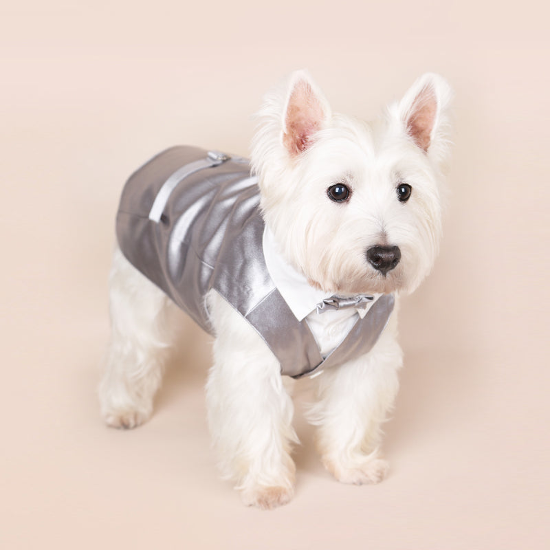 Dotty Lab Satin Suit Vest image 1