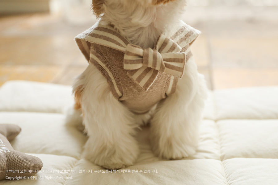 Ba&ttang-Marine Sailor Knit Pullover:mocha[Ba&ttang-水手服小毛衣:摩卡色] image 10