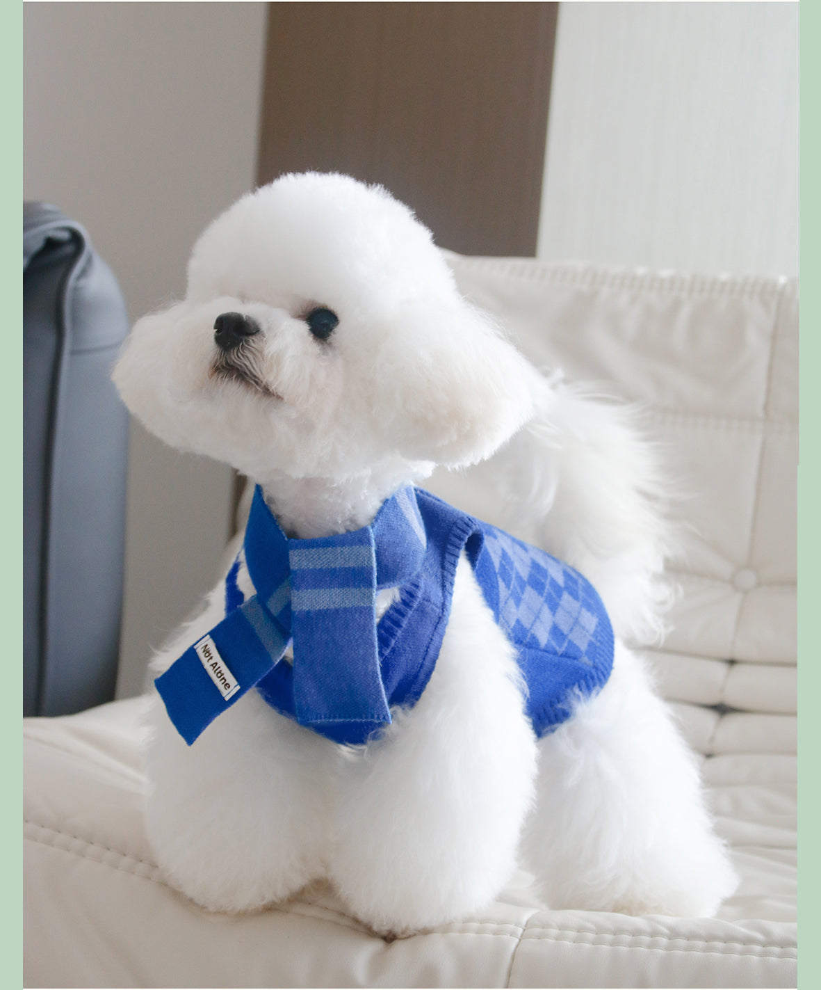 NotAlone-Magic House Pet Sweater Set[不孤岛-魔法学院格纹毛衣套装] image 5