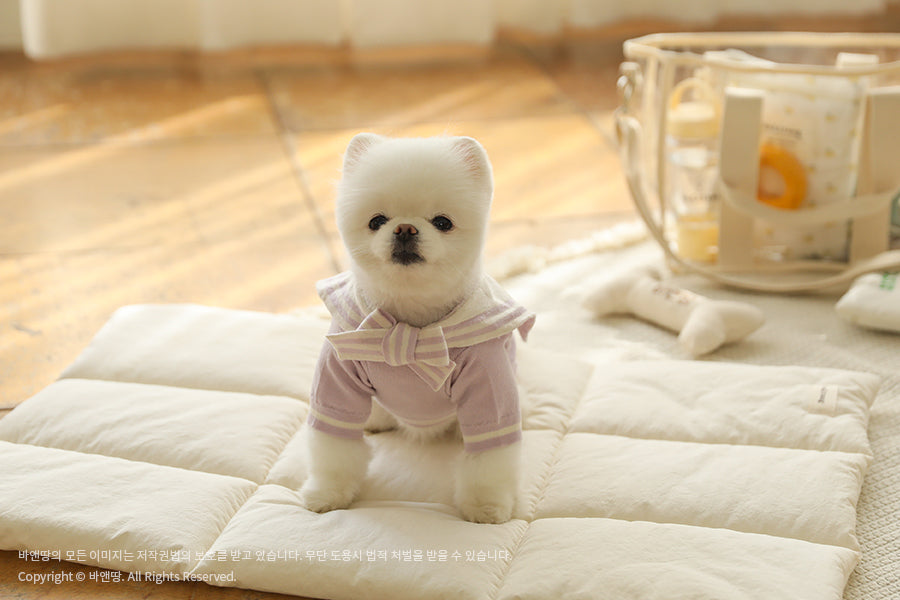 Ba&ttang-Marine Sailor Knit Pullover:lavender[Ba&ttang-水手服小毛衣:紫色] image 8