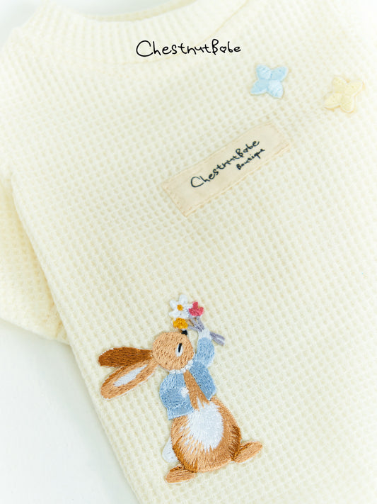 Chestnutbabe-Peter Rabbit sweater[Chestnutbabe-彼得兔衣服] image 0