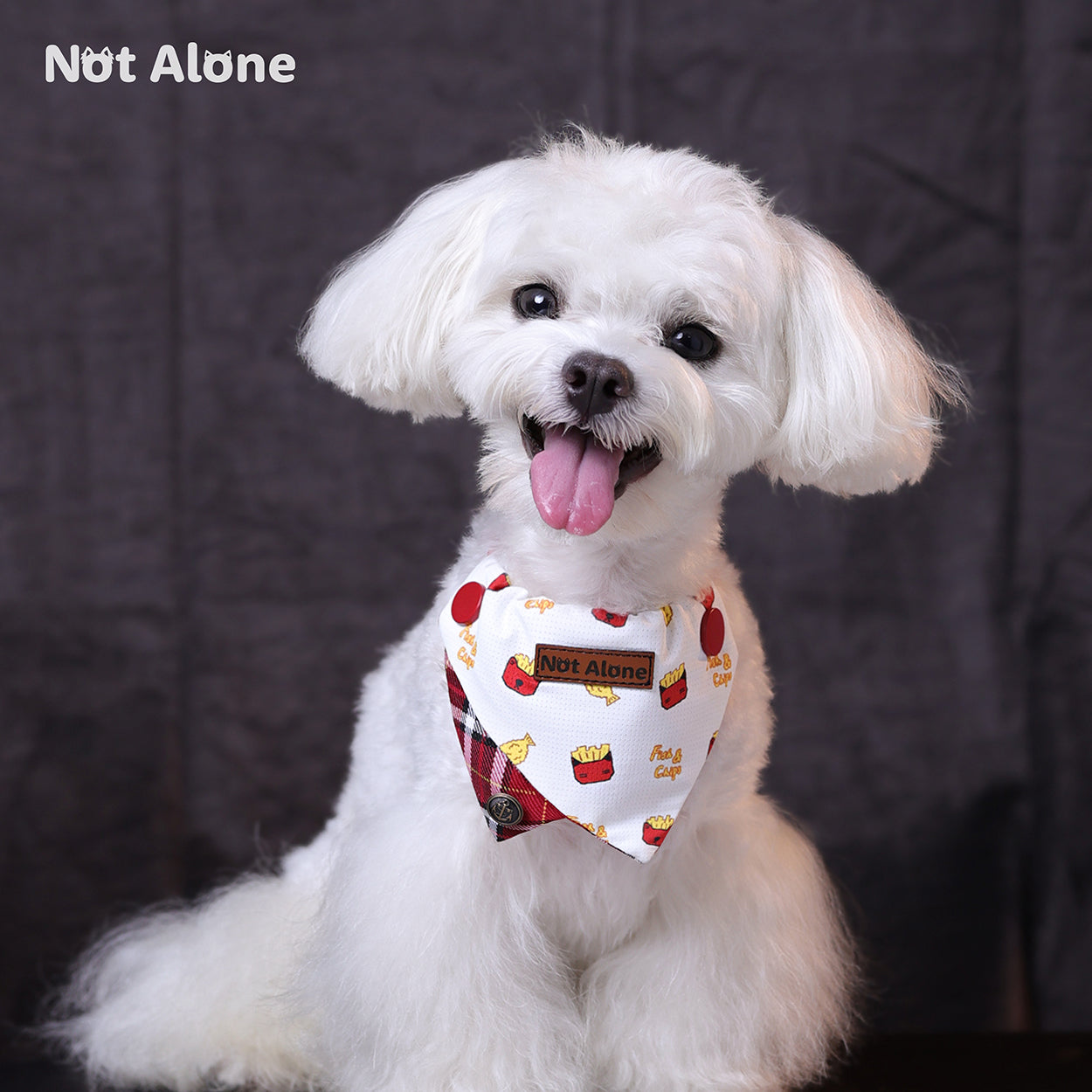 NotAlone-Fish&Chips Pet Bib[不孤岛-炸鱼薯条口水巾] image 1