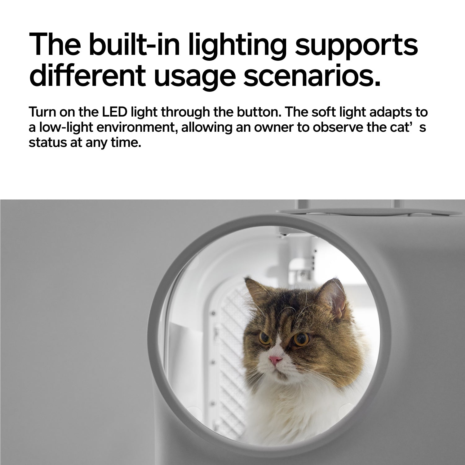 Pidan Wheeled Pet Carrier-With Ventilation[pidan新风宠物出行箱] image 2