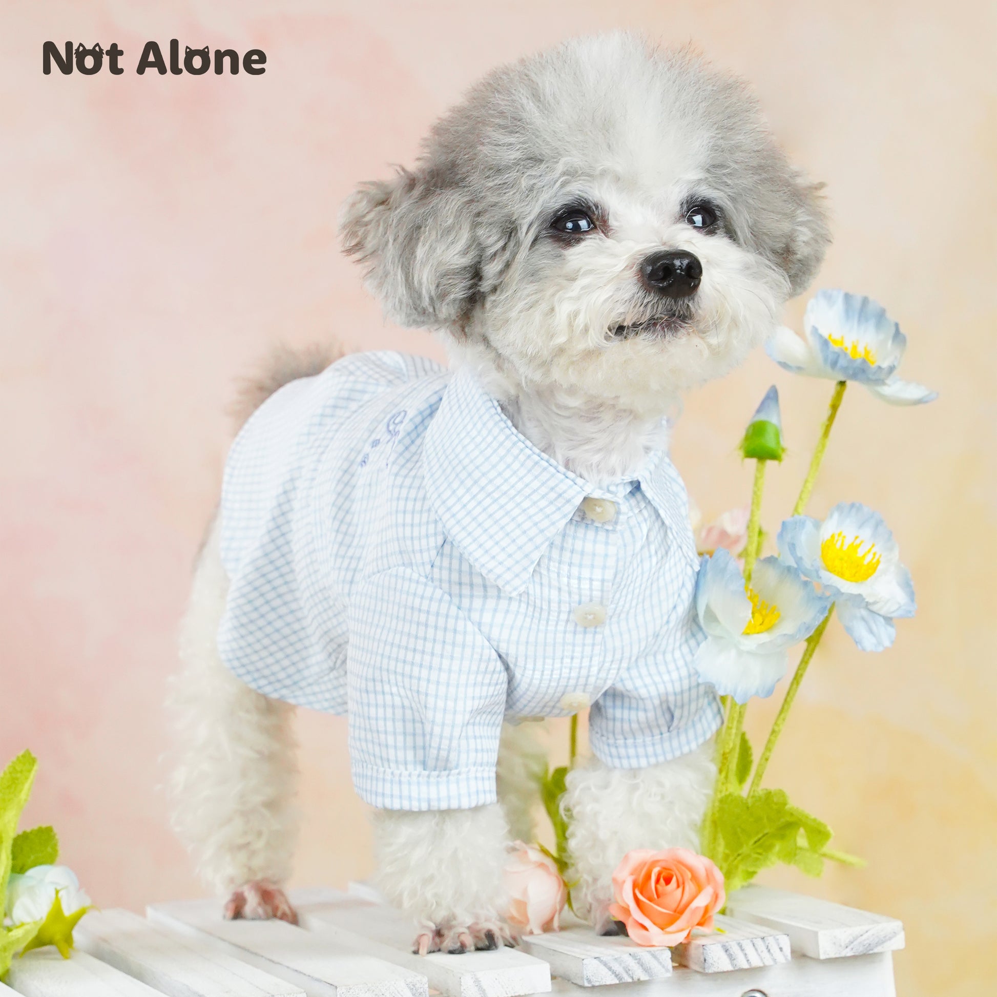 NotAlone-Striped Pet Shirt[不孤岛-下午茶条纹衬衫] image 2