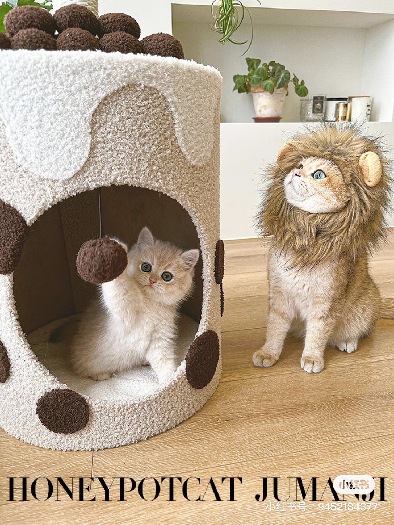 Honeypot Cat-Bubble Milk Tea Cat Nest[蜜罐猫-珍珠奶茶猫窝] image 4