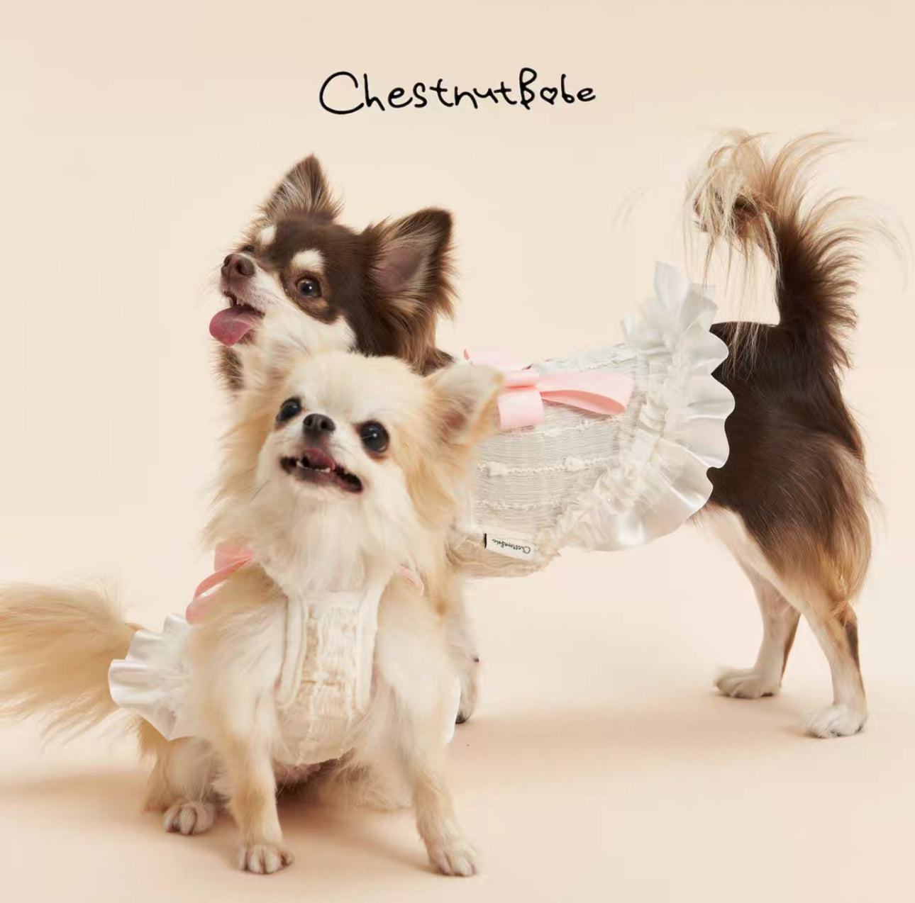 ChestnutBabe-ButterSea Pet Dress[Chestnutbabe-ButterSea 蝴蝶结吊带裙] image 1