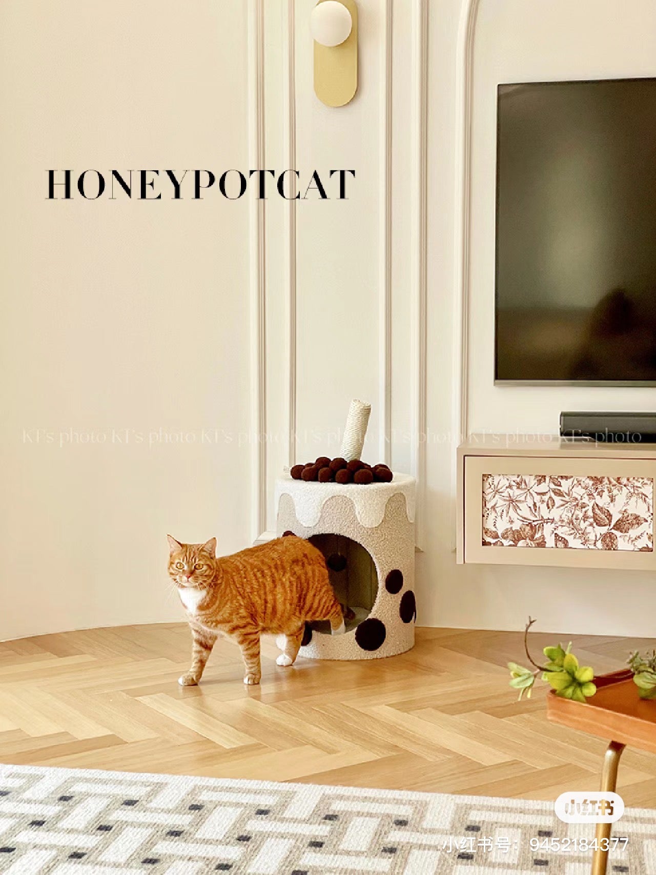 Honeypot Cat-Bubble Milk Tea Cat Nest[蜜罐猫-珍珠奶茶猫窝] image 2