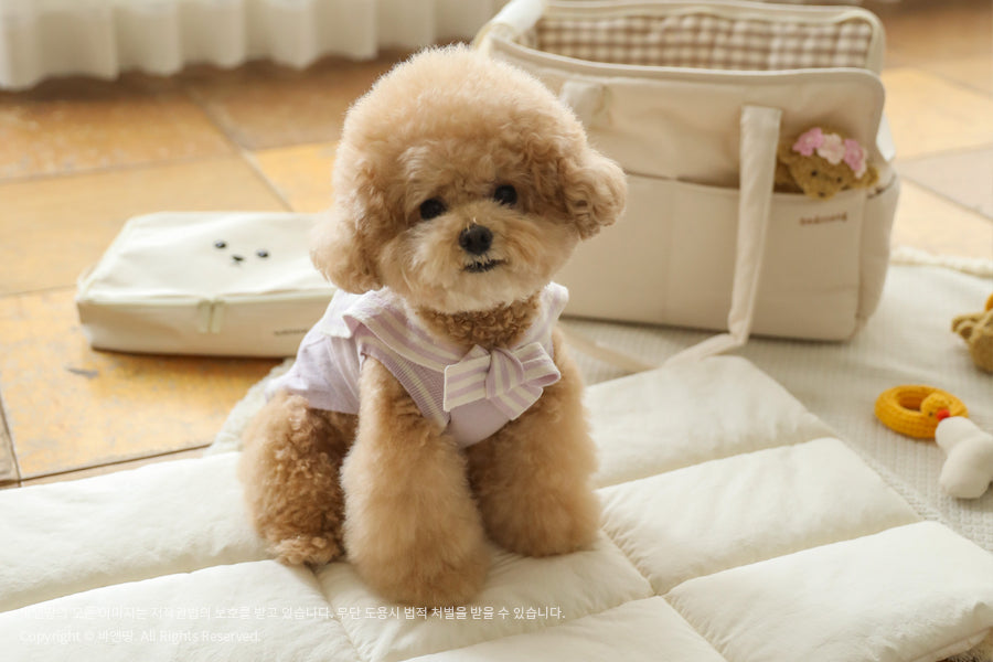 Ba&ttang-Marine Sailor Knit Pullover:lavender[Ba&ttang-水手服小毛衣:紫色] image 5