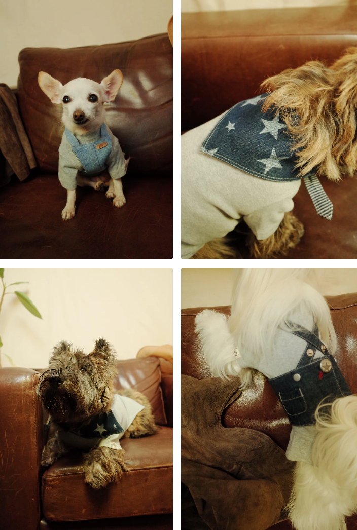 Patuu Pet Jumper image 2