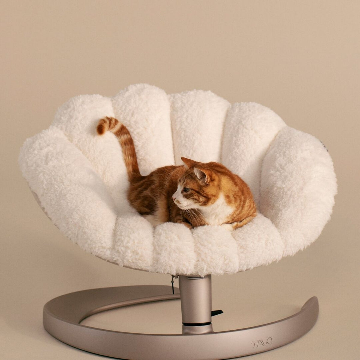 Tavo Shell Pet Bed And Swaying Lounger