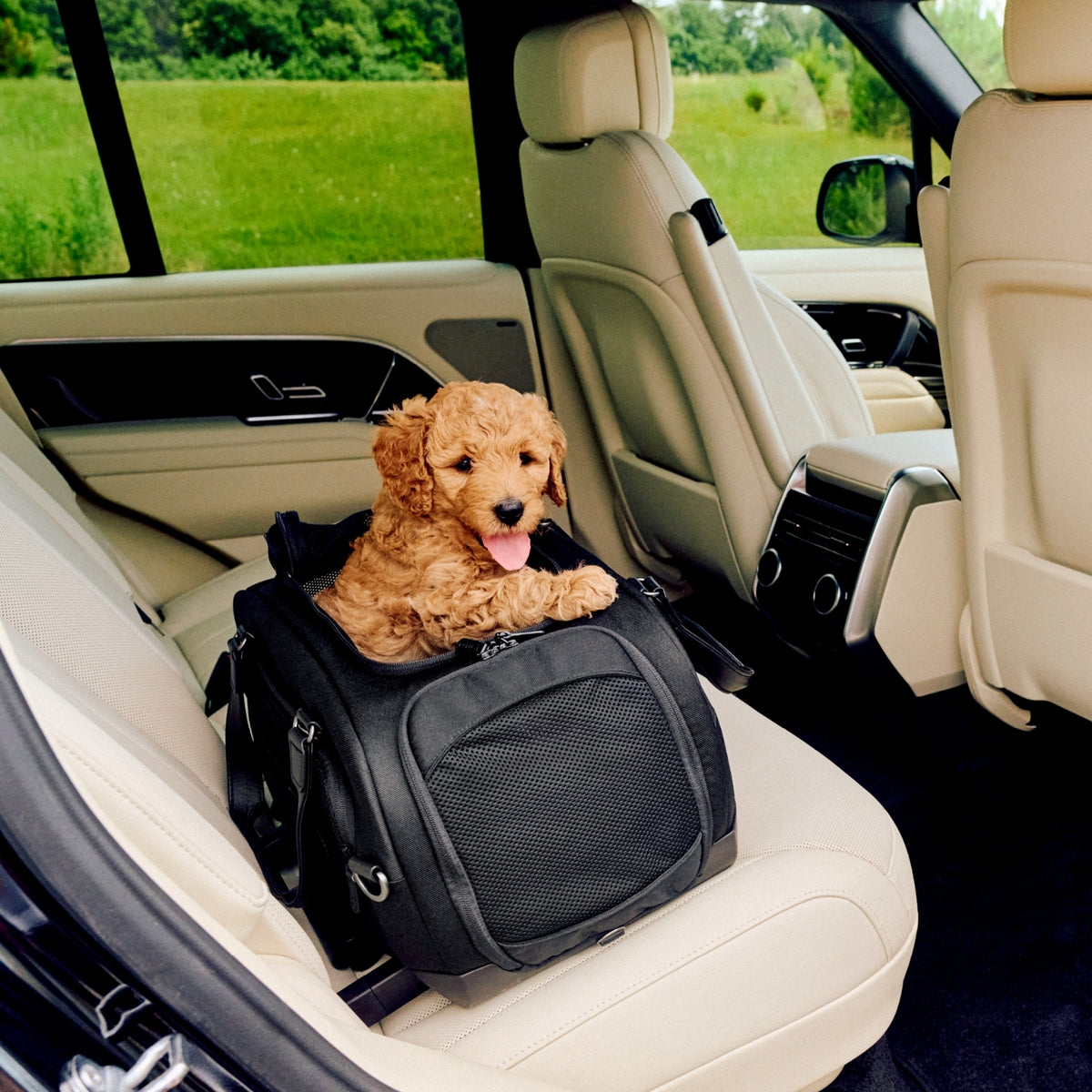 Tavo Dupree Pet Car Set and Carrier